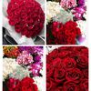 janam65774