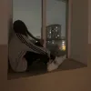 kira_wolop