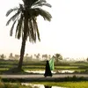 qamar30..r
