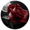 umani.sy78