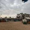 user2912270815329