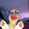 lavvcutiee11