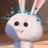 _taosaiduocchua_