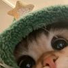 snnmoi