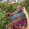 suzana.yusof1
