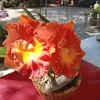 tuan79gia