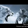 anbatukam94