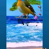 .ahmad5887