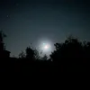 safi6_6zn