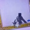pablo.marley001