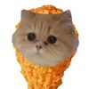3kittiys49