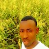 badhasoahmenur78