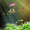 vidolaem009988