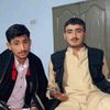 tauqeer.zia6