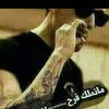 fofo.fisl