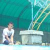 ariirawanari8