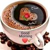 user445507156