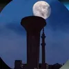 alma.jan85