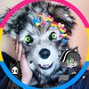 alex_el_lobito_uwu