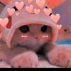 angy07770