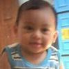 capung.pemangsa.h