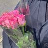 meriem.meriem899
