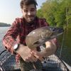 theangriestangler