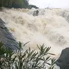 brendalee074