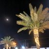 user6100279667503