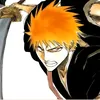 tigerchamp237