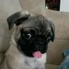 samu_8776