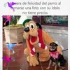 marisa.correa.alt