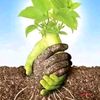 souleymane.sow.pou1