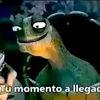 tio_lucho7