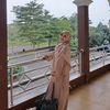 mpit_wae