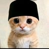 fizzzxx8