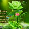 iqbal.selalu.ceri