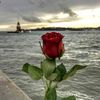 qasimova363_