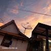 wongtanitani_22