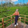 putripajawa