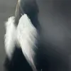 djixhpal