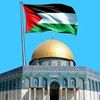 abdulrahman239_7