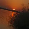ali_2012_10_27