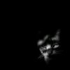 wann09__
