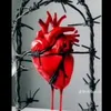 miqdad.hussain2