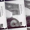 user290709135799