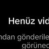 user525353780