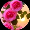shah.gul10