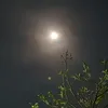 lthji8
