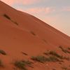 ykhalid11